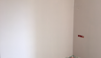 鳳凰熙岸油漆階段