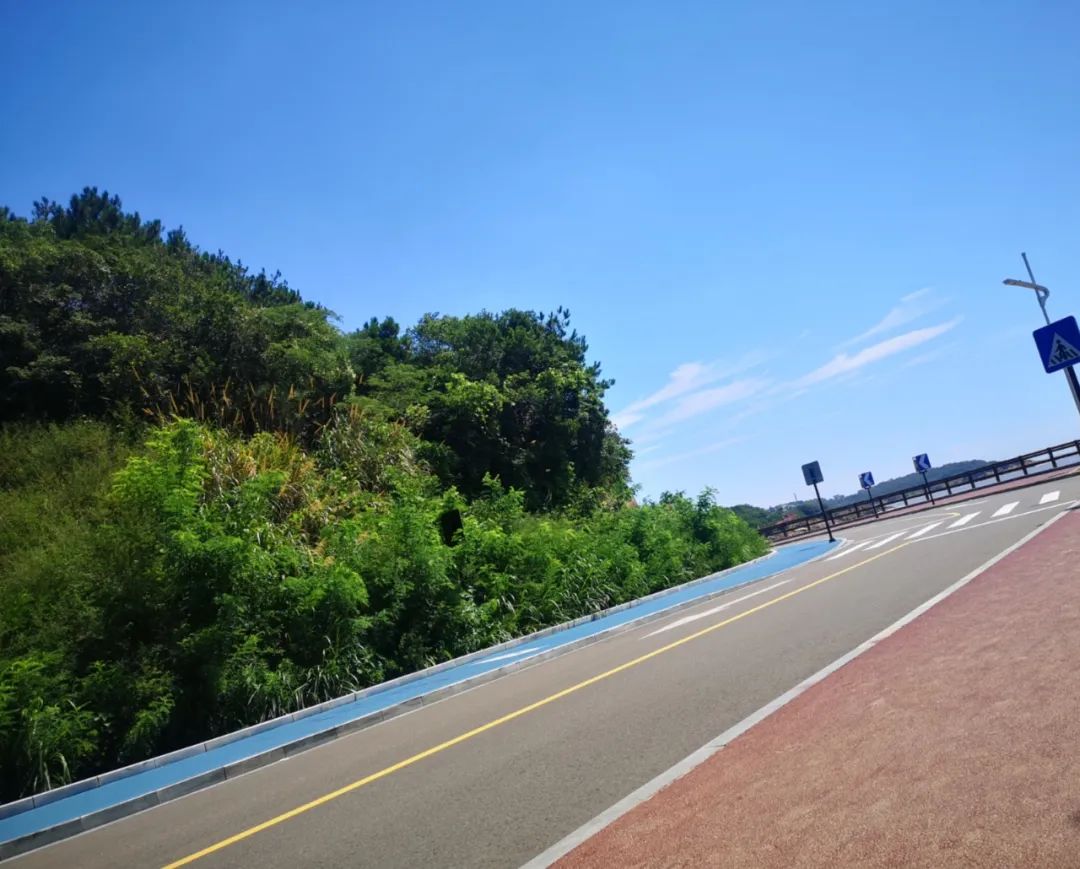 我們·清風|不負夏日，快樂出游