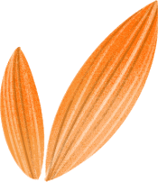 清風(fēng)裝飾·五一長假裝修惠 | 定金膨脹200倍！